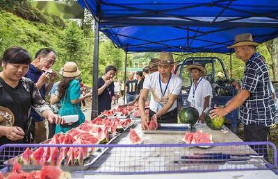 鞋帽零售領跑，我市社會消費品零售總額增速榮登全省榜首